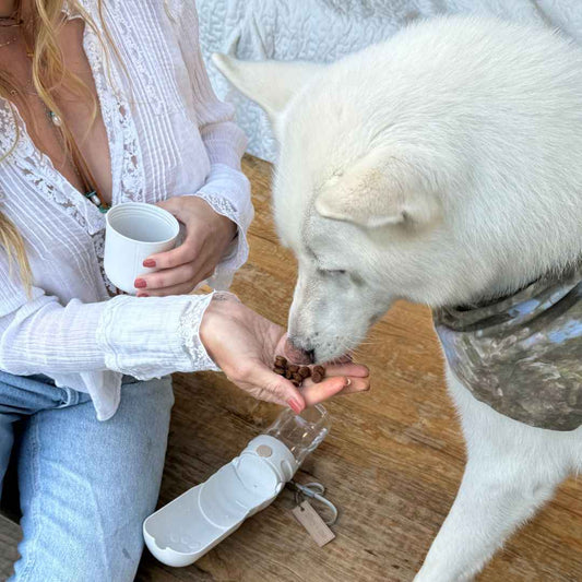 Tilley + Me Travel Dog Water Bottle with Treat Holder β Leakproof & BPA-Free 350mL