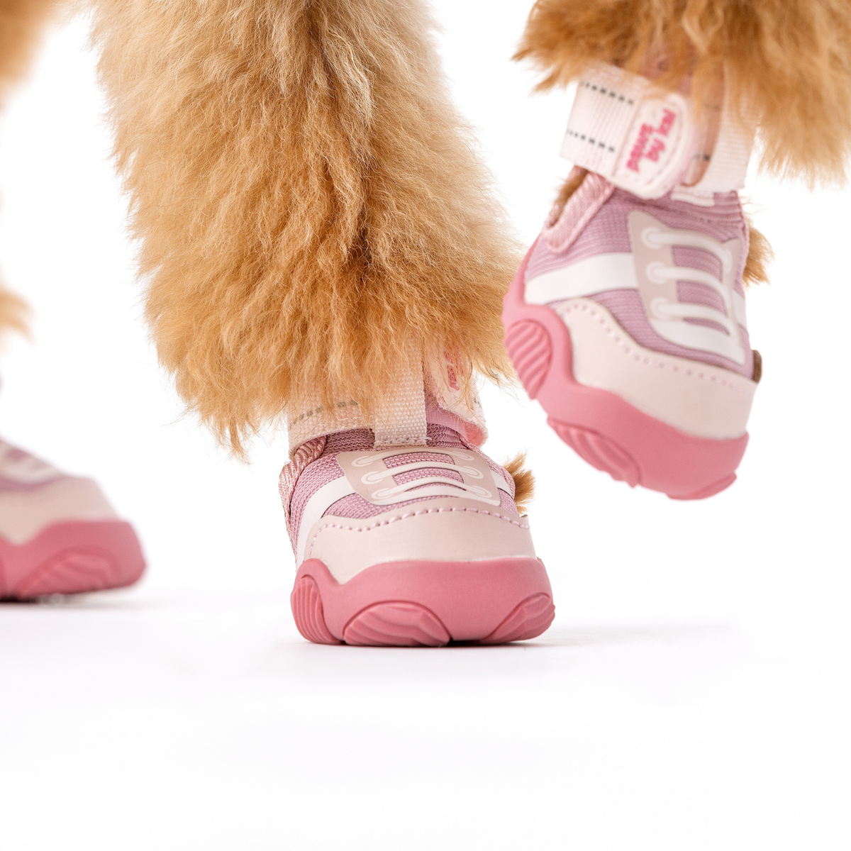 Dog Sneakers - The Ultimate Paws By Kai Dog Sneaker