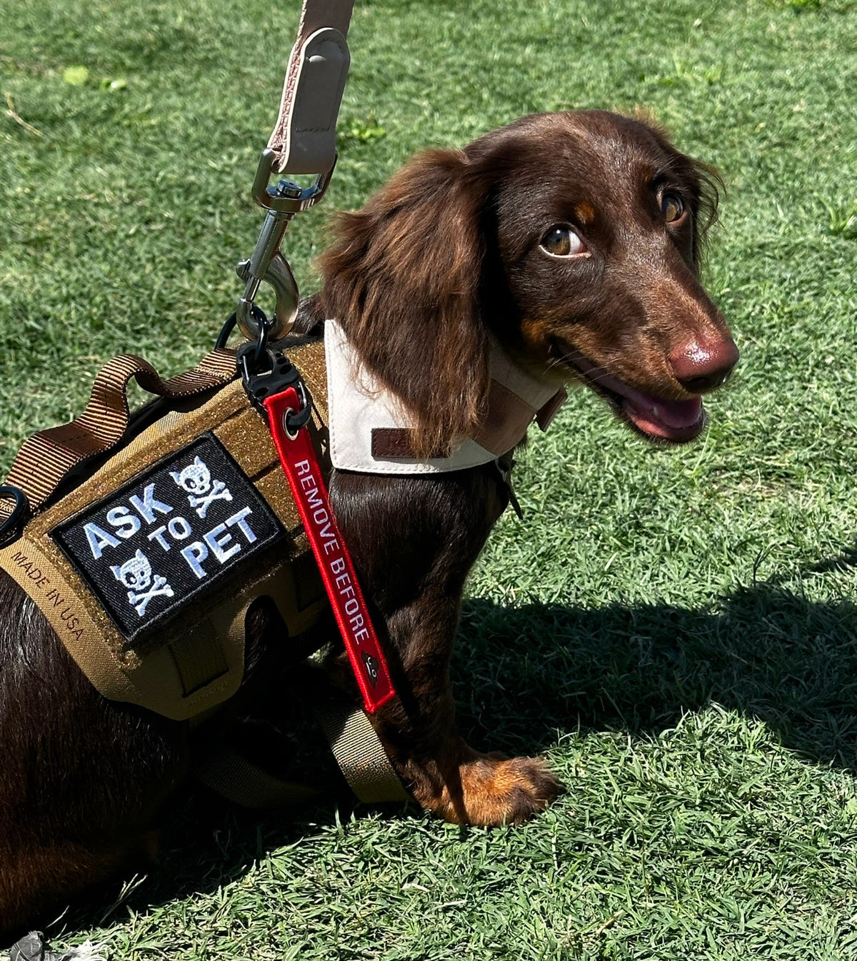 Remove Before Poop Keychain Tag - Fun & Functional!
