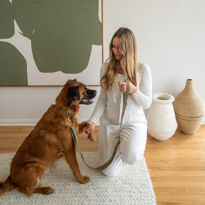 Hemp Cotton Dog Leash - Tilley + Me Durable & Adjustable