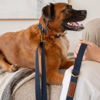Hemp Cotton Dog Leash - Tilley + Me Durable & Adjustable