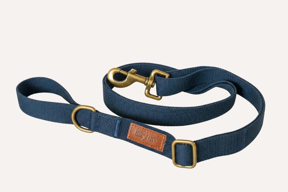 Hemp Cotton Dog Leash - Tilley + Me Durable & Adjustable