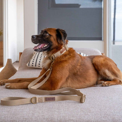 Tilley + Me Hemp Cotton Dog Leash - Durable, Sustainable, Adjustable, Lightweight & Soft- Joshua Tree