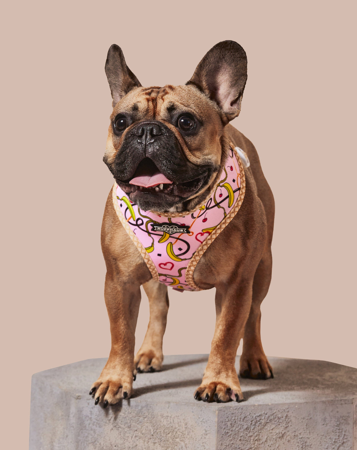 Pink Reversible Harness: Style Meets Comfort for Your Pet
