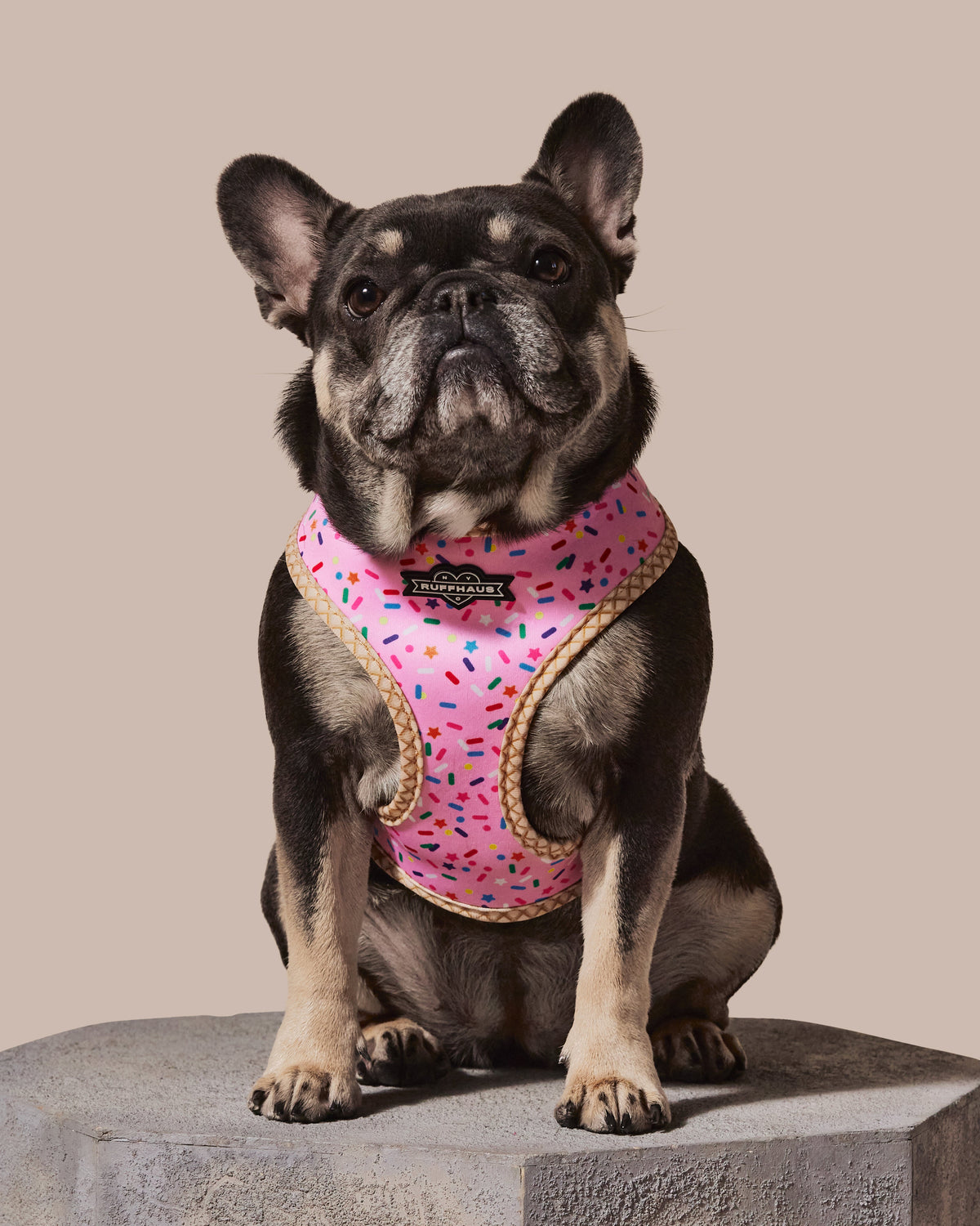 Pink Reversible Harness: Style Meets Comfort for Your Pet
