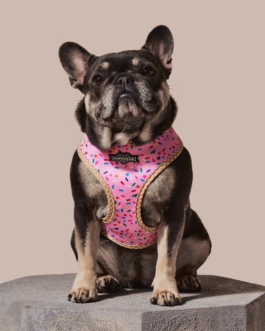 Pink Reversible Harness: Style Meets Comfort for Your Pet
