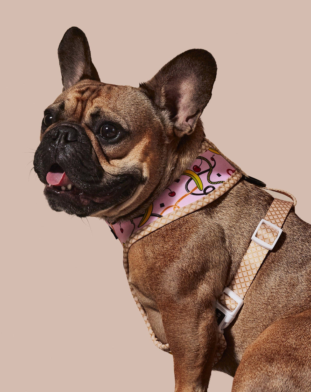 Pink Reversible Harness: Style Meets Comfort for Your Pet