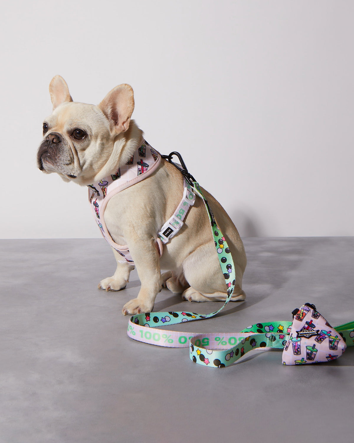 Matcha Boba Reversible Harness - Fun & Functional Dog Gear