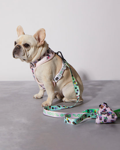 Matcha Boba Reversible Harness - Fun & Functional Dog Gear