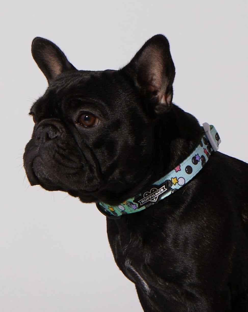 Matcha Boba Dog Collar & Bowtie