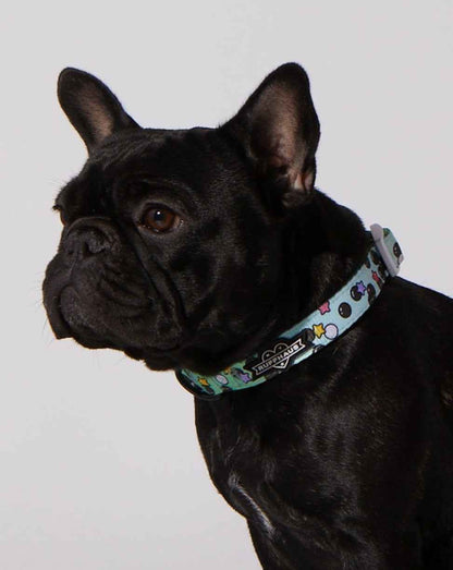 Matcha Boba Dog Collar & Bowtie