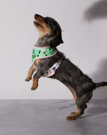 Matcha Boba Reversible Harness - Fun & Functional Dog Gear