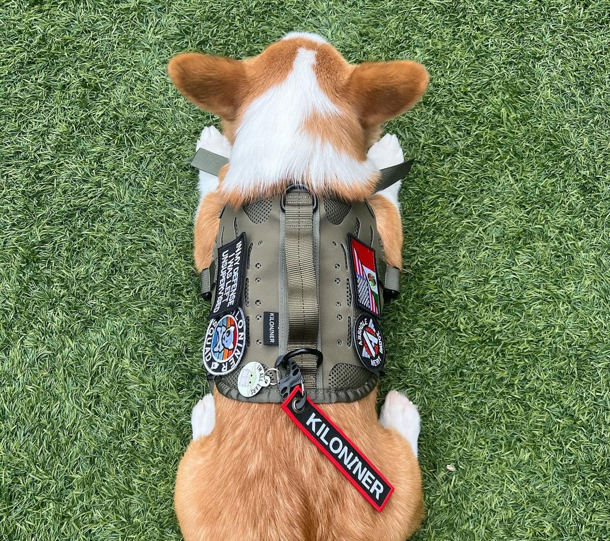 Remove Before Poop Keychain Tag - Fun & Functional!
