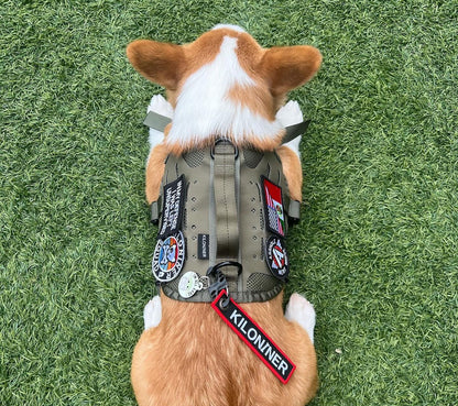 Remove Before Poop Keychain Tag - Fun & Functional!
