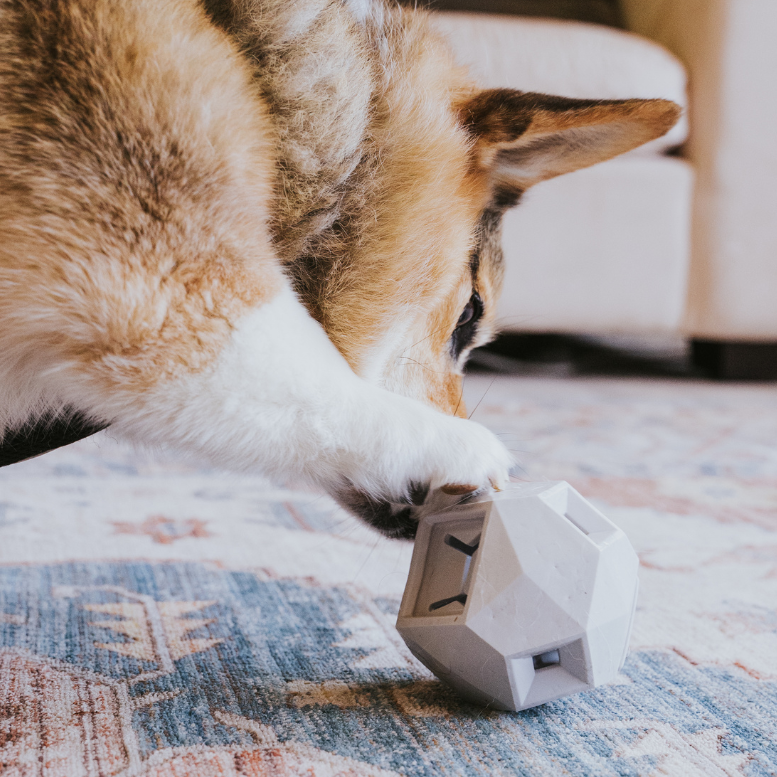 Treat Dispensing Toy For Dogs - Odin Fun & Engaging Experience