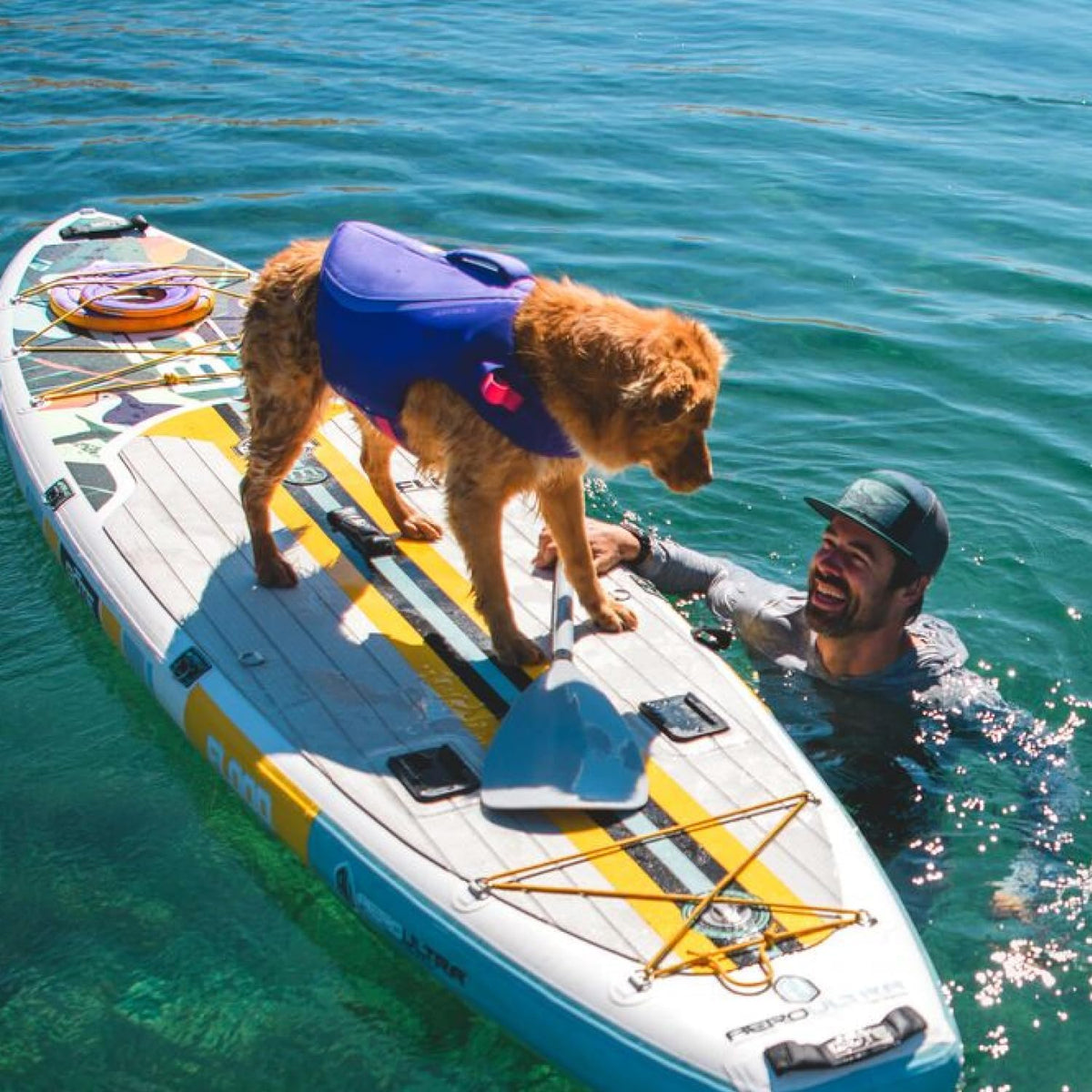 Canine Sea Captain's Epic Floaty Vest: Now Your Pup Can Swim Like Aquaman, Chase Waves, and Save Lives! Deep Blue, X-Small