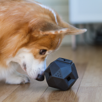 Treat Dispensing Toy For Dogs - Odin Fun & Engaging Experience