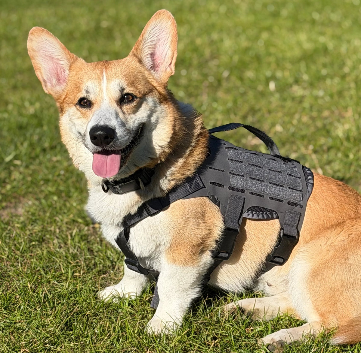 M4 Tactical MOLLE Vest - K9R for Ultimate Pet Comfort and Control