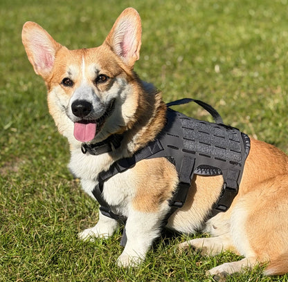 M4 Tactical MOLLE Vest - K9R for Ultimate Pet Comfort and Control