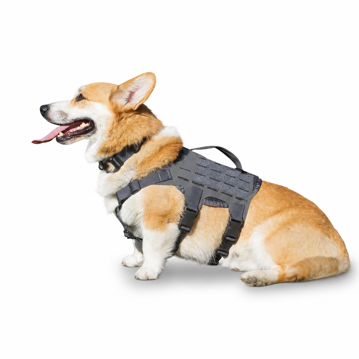 M4 Tactical MOLLE Vest - K9R for Ultimate Pet Comfort and Control