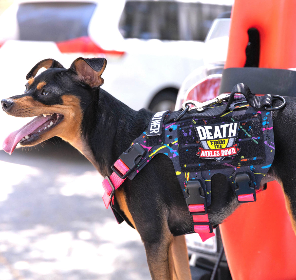 K9R - Chaleco Ligero MOLLE M5