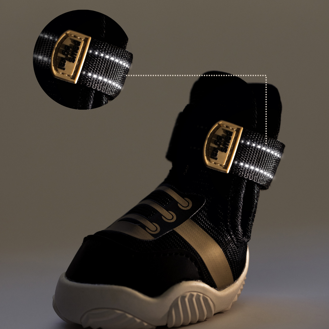 Dog Sneakers - The Ultimate Paws By Kai Dog Sneaker
