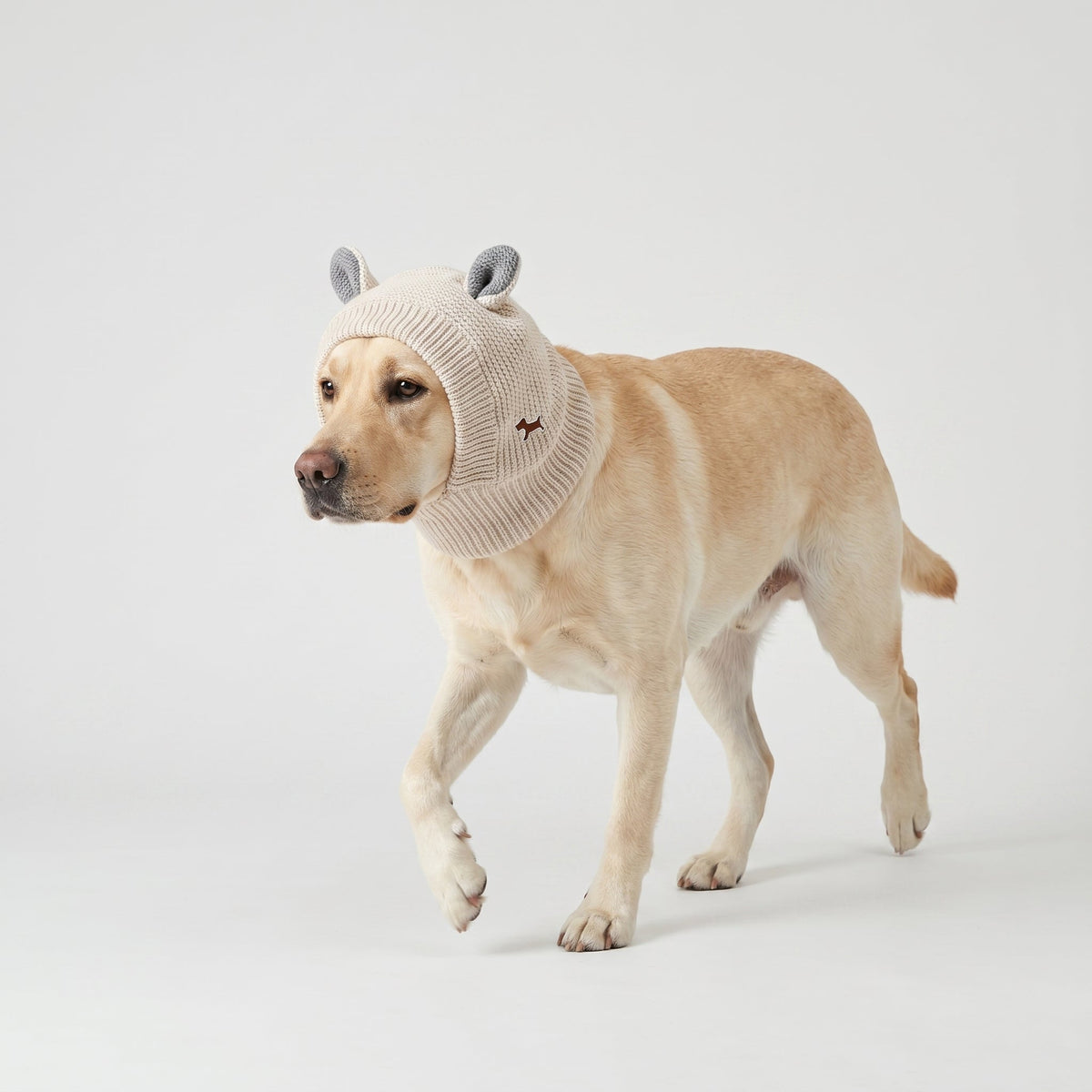 Rabbit Ear Dog Hat - Cozy and Playful Winter Protection