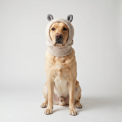 Rabbit Ear Dog Hat - Cozy and Playful Winter Protection