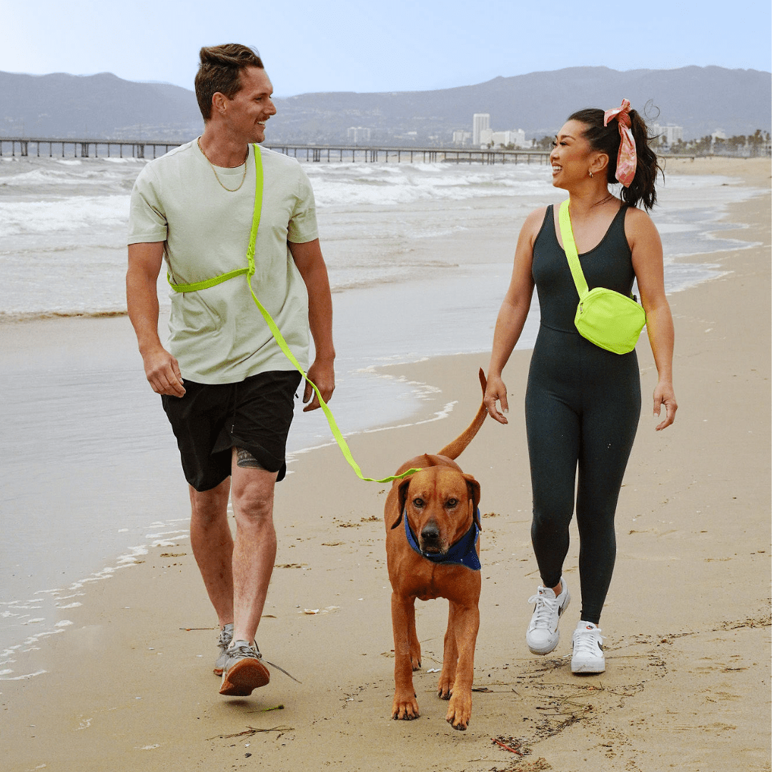 PVC Handsfree Dog Leash - Durable, Waterproof & Odor-Resistant