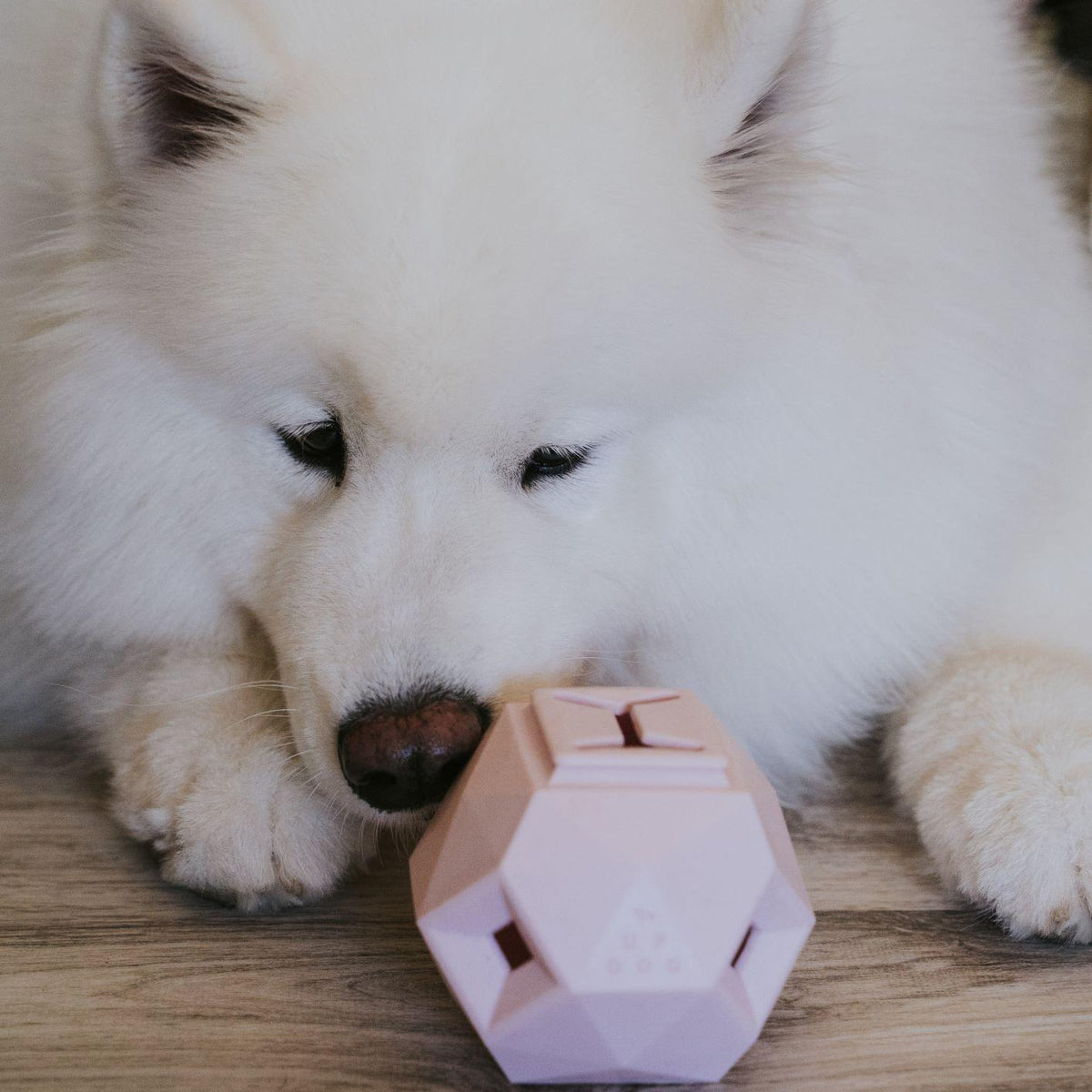 Treat Dispensing Toy For Dogs - Odin Fun & Engaging Experience