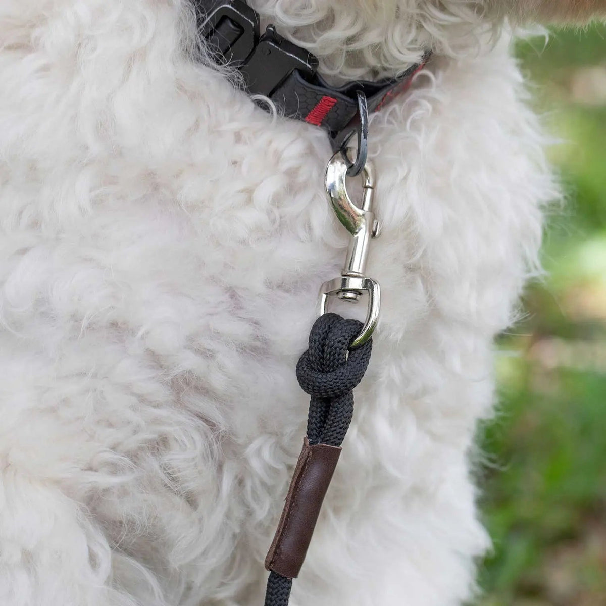 Dog Leash LITE Bundle - Comfort and Control for Your Adventures