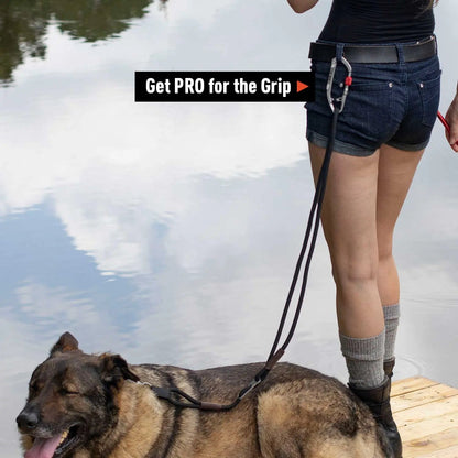 Dog Leash LITE Bundle - Comfort and Control for Your Adventures