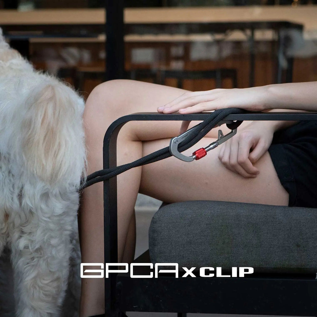 GPCA Dog Leash Set: Ultimate Comfort and Control for Your Adventures