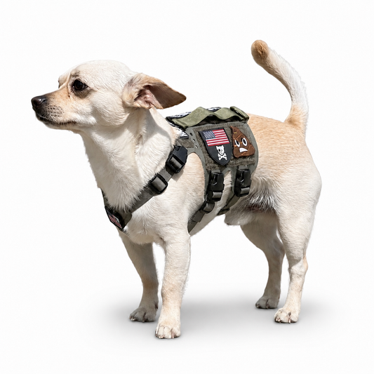 M5 MOLLE Light Vest - Secure and Comfortable Harness for Small Dogs