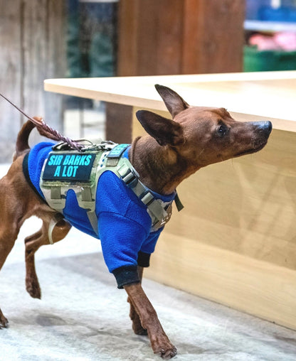 K9R - Chaleco Ligero MOLLE M5