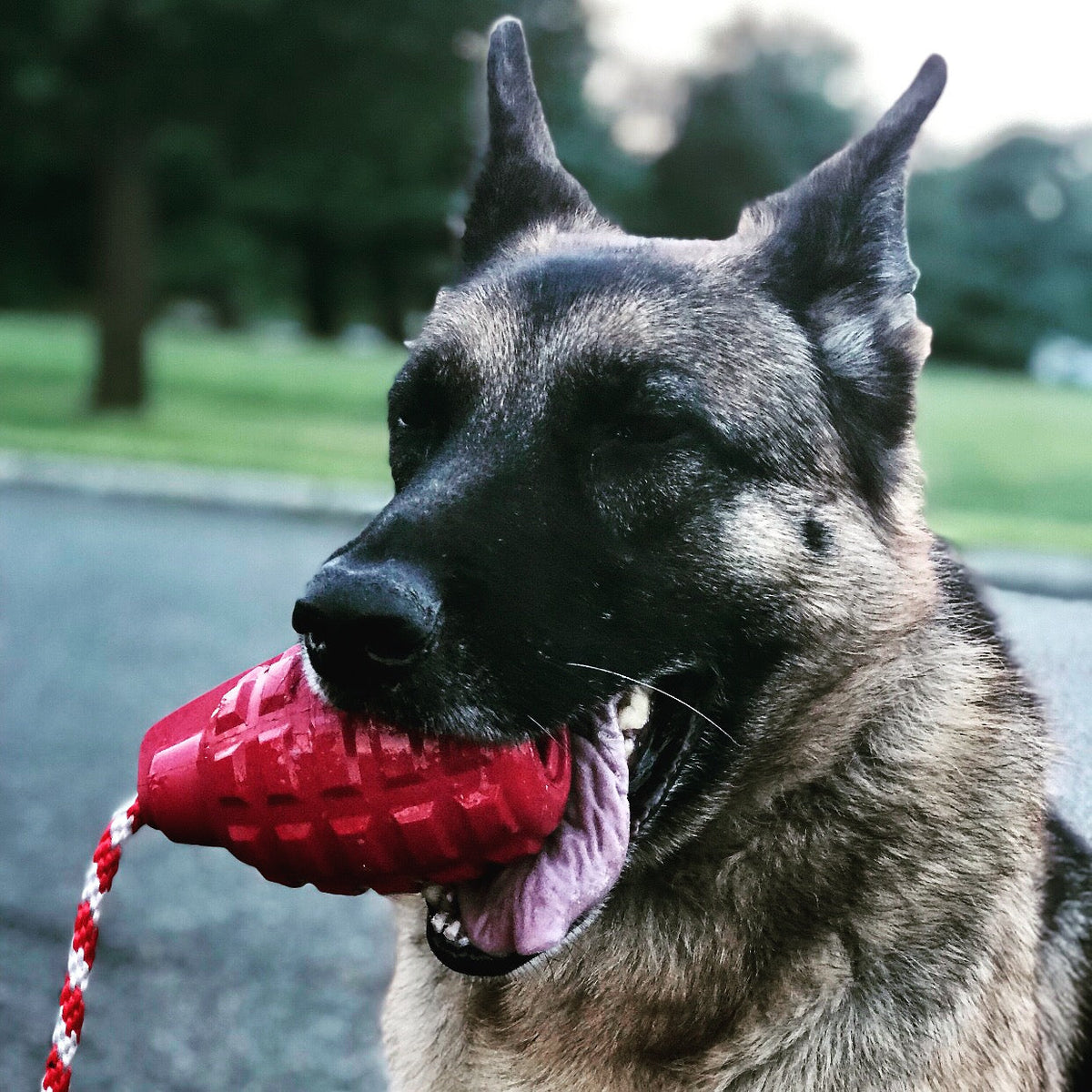 USA-K9 Grenade Treat Dispenser and Tug Toy - Multi-Functional Dog Play Essential