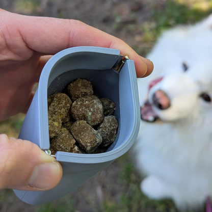 One Hand Treat Training Pouch for Effortless Dog Training