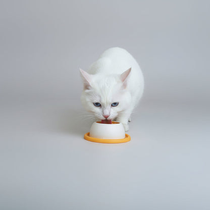 Lick Slow Feed Toy