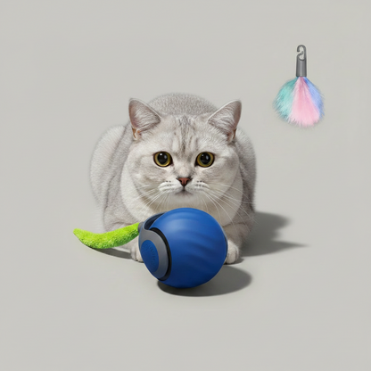 Interactive Rolling Ball Toy