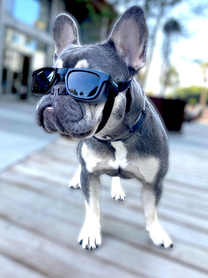 W1 Eye Defender Goggles - Protect Your Pet's Eyes in Style