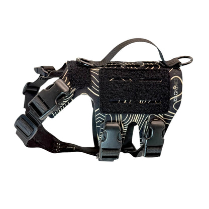 K9R - Chaleco Ligero MOLLE M5