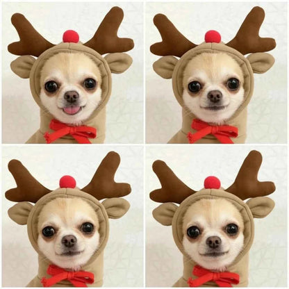Cute Fruit Pet Hoodie Sweater – Warm Costume for Cats and Small Dogs