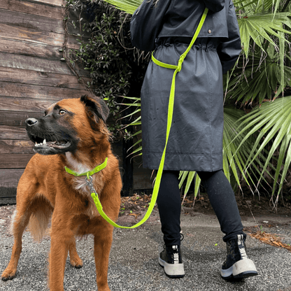 PVC Handsfree Dog Leash - Durable, Waterproof & Odor-Resistant