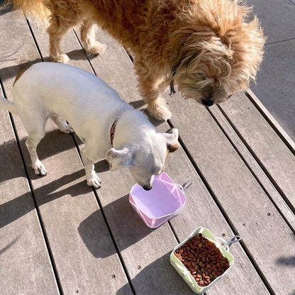 Foldable Pet Food & Water Bowl – Compact & Travel-Friendly