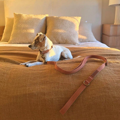 Hemp Cotton Dog Leash - Tilley + Me Durable & Adjustable
