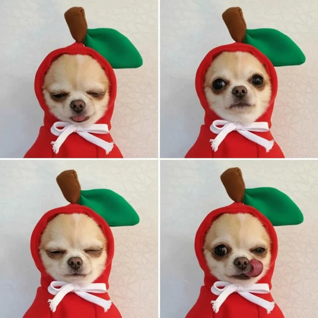 Cute Fruit Pet Hoodie Sweater - Warm & Stylish for Your Pet