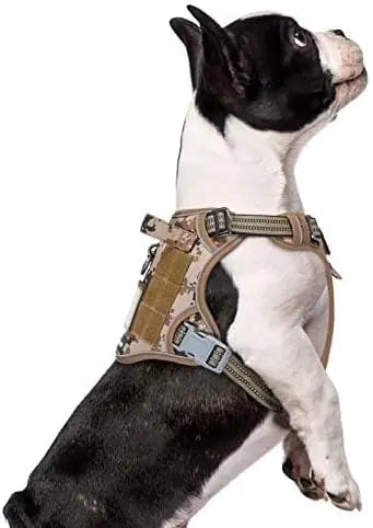 Tactical Dog Harness with Handle – Enhance Safety & Control for Your Active Companion
