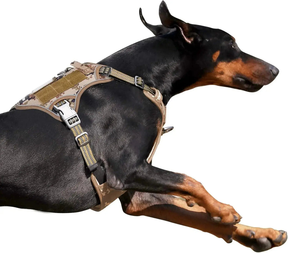 Tactical Dog Harness with Handle – Enhance Safety & Control for Your Active Companion