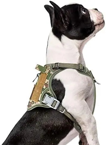 Tactical Dog Harness with Handle – Enhance Safety & Control for Your Active Companion
