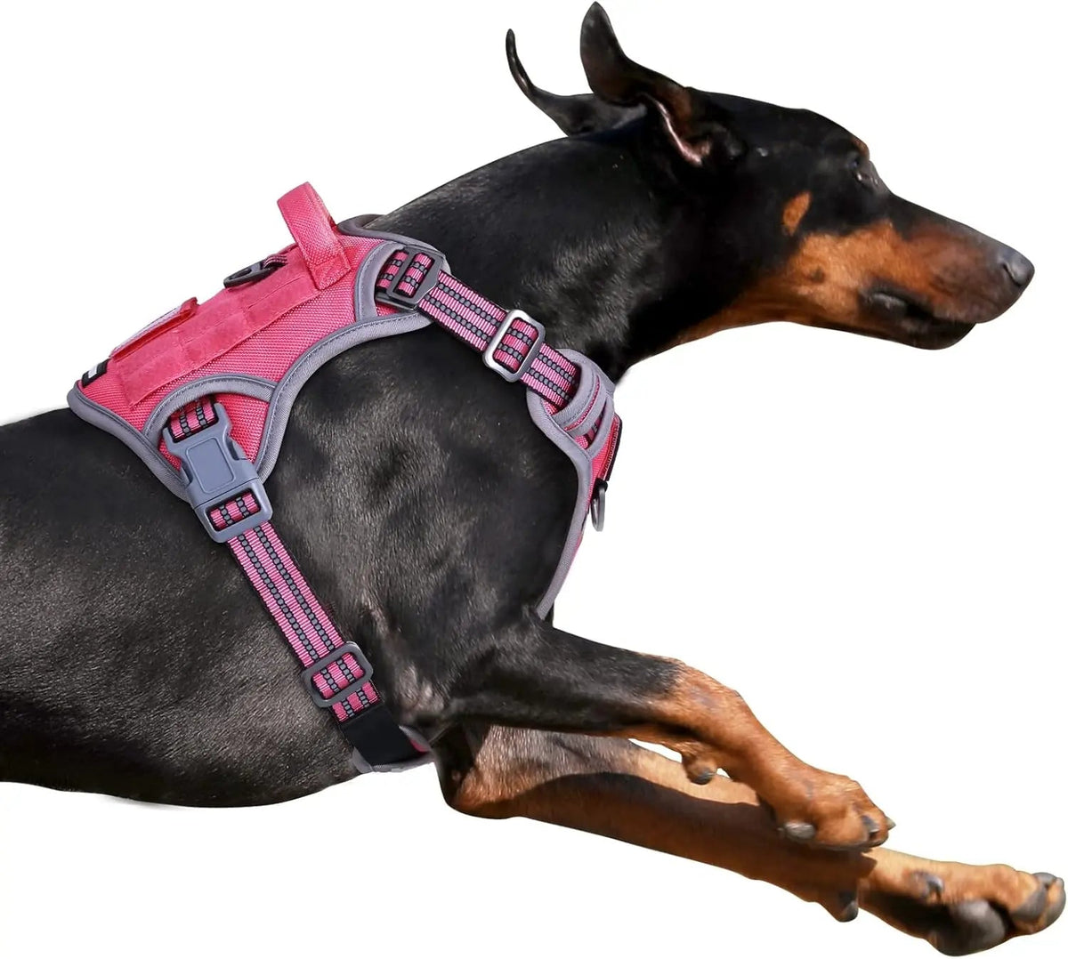 Tactical Dog Harness with Handle – Enhance Safety & Control for Your Active Companion